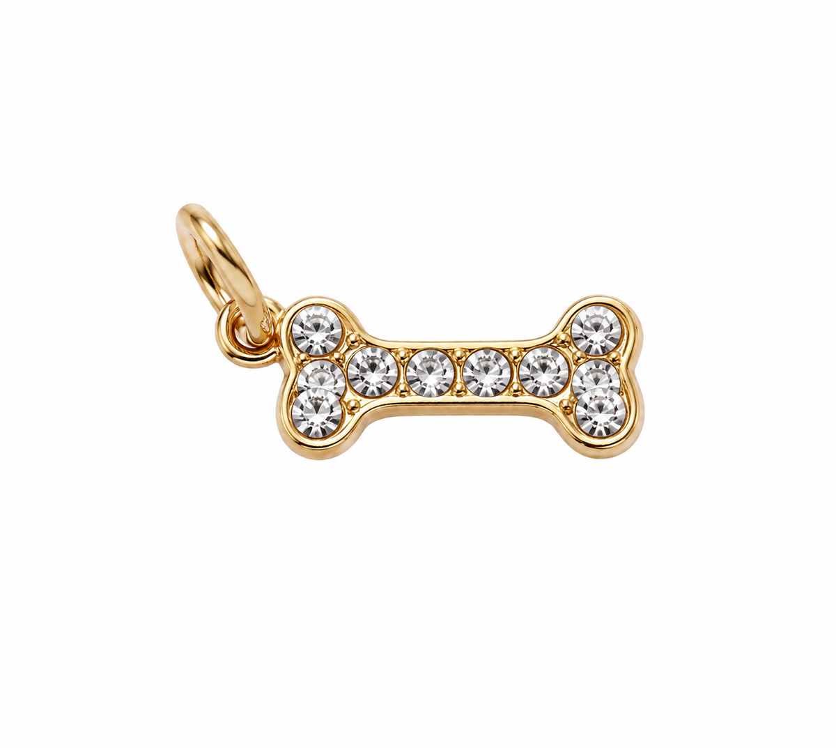 Bone charm