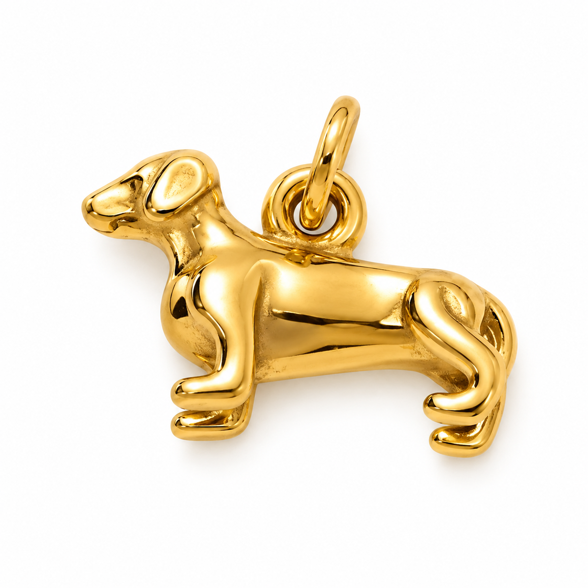 Dog charm