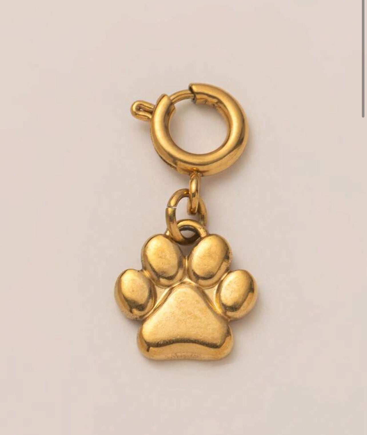 Paw print charm