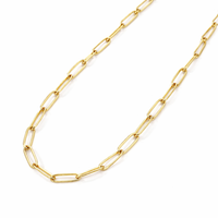 Paper Clip Necklace