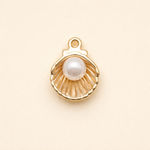 Shell charm
